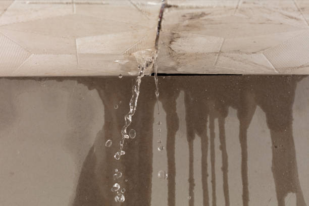 Professional Structural Drying technician working in Teterboro, NJ